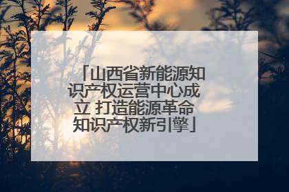 山西省新能源知识产权运营中心成立 打造能源革命知识产权新引擎